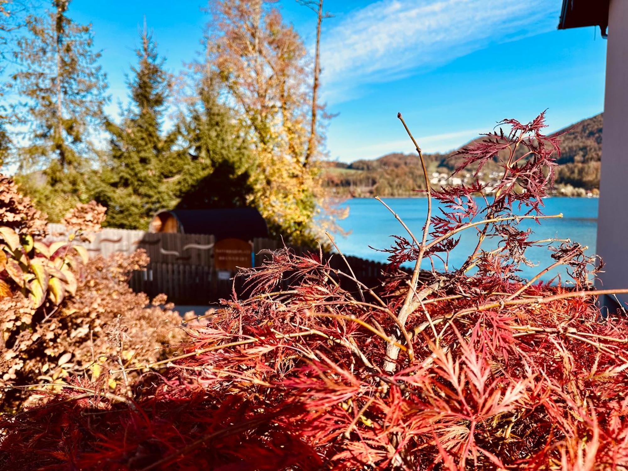 Brunnwirt Essen & Wohnen Apartman Fuschl am See Kültér fotó